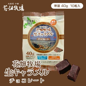 花畑牧場 生キャラメル【チョコレート】【常温】【標準10粒入(40g)】北海道 お土産 キャラメル クリーム 生乳 水飴 スイーツ おやつ お菓子 ギフト プレゼント お取り寄せ