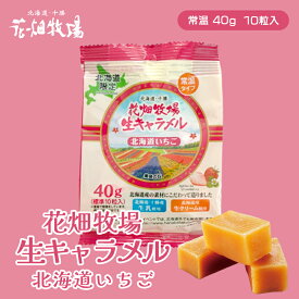 花畑牧場 生キャラメル【北海道いちご】【常温】【標準10粒入(40g)】北海道 お土産 キャラメル クリーム 生乳 水飴 スイーツ おやつ お菓子 ギフト プレゼント お取り寄せ