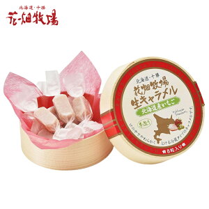 Ԕq LykCYzy8zy①zkC yY L N[   Mtg v[g 