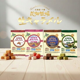 花畑牧場 生キャラメル 4種類セット【プレーン・北海道いちご・チョコレート・抹茶】【常温】【標準10粒入(40g)】北海道 お土産 キャラメル クリーム 生乳 水飴 スイーツ おやつ お菓子 ギフト プレゼント お取り寄せ