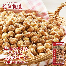花畑牧場 生キャラメルポップコーン【生キャラメル】【袋・100g】北海道 お土産 ポップコーン おやつ お菓子 スイーツ ギフト プレゼント お取り寄せ