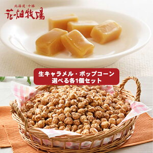 花畑牧場 生キャラメル・ポップコーン 選べる各1個セット 常温タイプ 北海道 お土産 キャラメル 夕張メロン チョコレート いちご スイーツ おやつ お菓子 ギフト プレゼント お取り寄せ