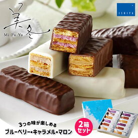 美冬【12個入×2箱】石屋製菓 北海道 お土産 バター パイ フィリング チョコ マロン ブルーベリー キャラメル お菓子 ギフト プレゼント お取り寄せ 送料無料