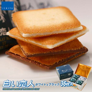 ly36 zCgubNzΉ kC yY `R NbL[ OhV o^[ Mtg v[g 