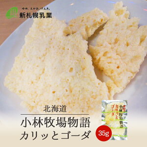 kCіqꕨ JbƃS[_y35gzkC yY `[Y  َq ܂  gbsO  Mtg v[g 