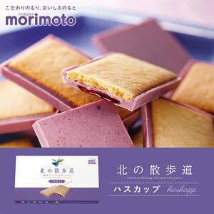 morimoto k̎U nXJbvy8zkC yY nXJbv `R NbL[ Mtg v[g  NX}X oeB zCgf[