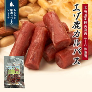 G]JpXy55g×1zkC yY WrG  ܂  َq  Mtg v[g  