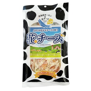 ԃ`[Yy55gzkC yY T[   ܂  Mtg v[g 