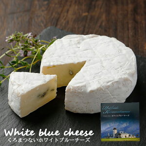 gEF[ ܂ȂzCgu[`[Yy90gzy①z kC  yY  ܂  Mtg v[g 