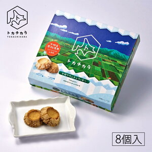 gJ`J \}EeNbL[y8zkC yY UNUNH mَq XC[c fU[g  Mtg v[g 