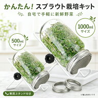 【スーパーSALE限定10%OFF+P5】スプラウト栽培キット 種子発芽ジャーセット メイソンジャー式 ブロッコリ…