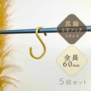 StbN ^J STCY 5Zbg 6cm  S[h CeA |