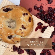 〔米粉ベーグルクランベリー〕米粉 グルテンフリー 冷凍 ベーグル アレルギー 冷凍 急速 焼きたて 小麦不…