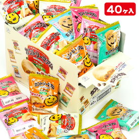 カントリーマアム バニラ{お菓子 洋菓子 クッキー 徳用 個包装 小分け 配布 問屋 業務用 子ども会 施設}[子供会 保育園 幼稚園 景品 イベント お祭り プレゼント 人気]【色柄指定不可】【不良対応不可】