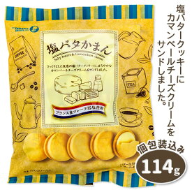 塩バタかまん{お菓子 まとめ買い}{ギフト 誕生日 プレゼント 景品}{イベント 子ども会 幼稚園 施設}[子供会 保育園 幼稚園 景品 イベント お祭り プレゼント 人気]【色柄指定不可】【不良対応不可】