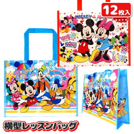 ディズニー 横型レッスンバッグ{雑貨 キャラクター かばん 習い事 買い物 ギフト 誕生日 子ども会 施設}[子供会 保育園 幼稚園 景品 イベント お祭り プレゼント 人気]【色柄指定不可】【不良対応不可】