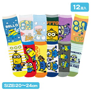 ~jIY C{ G LN^[ O[ \bNX Mtg a qǂ { }[ q ۈ牀 ct ii Cxg Ղ v[g lC ]yFwszysǑΉsz