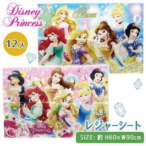ディズニープリンセス レジャーシートの通販 価格比較 価格 Com
