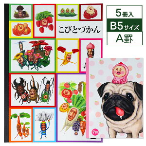 тƂÂ B5m[g{  LN^[ B5 Mtg a qǂ { }[ q ۈ牀 ct ii Cxg Ղ v[g lC ]yFwszysǑΉsz
