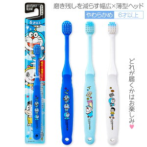 Ifmh uV6ˈȏ{ G  w 炩 LN^[ qpi }{ Mtg a }{ qǂ { }[ q ۈ牀 ct ii Cxg Ղ v[g lC ]yF