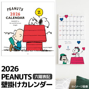 Xk[s[ EH[J_[{ G J_[ Mtg a qǂ { }[ q ۈ牀 ct ii Cxg Ղ v[g lC ]yFwsz