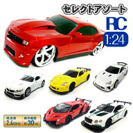 RC 1：24セレクトアソート{ 玩具 おもちゃ ラジコン ラジコンカー ギフト 誕生日 子ども会 施設 }[ 子供…