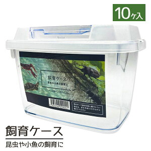 e{ P[X vP[X  ނ  Zbg ċx R w wZ  q qǂ { }[ q ۈ牀 ct ii Cxg Ղ v[g lC ]yF