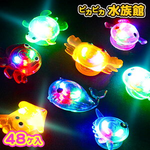 sJsJ { 邨  邷 蕨ߋ 蕨   C̐     q  qǂ } [ q ۈ牀 ct ii Cx