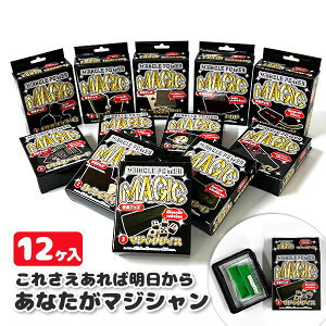 Ȃ}WV{ ߋ  i p[eB[ Q[ V Mtg a qǂ { }[ q ۈ牀 ct ii Cxg Ղ v[g lC ]yFwszys