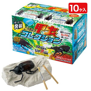 @bRNV{ ߋ  @ Lbg  Mtg a qǂ { }[ q ۈ牀 ct ii Cxg Ղ v[g lC ]yFwszysǑΉs