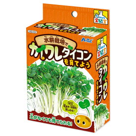 水耕栽培でカイワレダイコンを育てよう{玩具 おもちゃ}{ギフト 誕生日 プレゼント 景品}{イベント 子ども会 幼稚園 施設}[子供会 保育園 幼稚園 景品 イベント お祭り プレゼント 人気]【色柄指定不可】【不良対応不可】