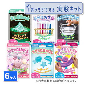 おうちでできる実験キット{ 玩具 おもちゃ }{ ギフト 誕生日 }{ 子ども会 施設 }[ 子供会 保育園 幼稚園 景品 イベント お祭り プレゼント 人気 ]【色柄指定不可】【不良対応不可】