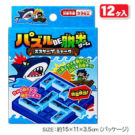 パズルDE脱出ゲーム{玩具 おもちゃ}{ギフト 誕生日}{子ども会 施設}[子供会 保育園 幼稚園 景品 イベント お祭り プレゼント 人気]【色柄指定不可】【不良対応不可】