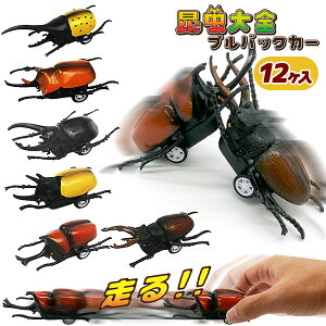 SvobNJ[{  vobN Ԃ̂ ߋ  }{ Mtg a }{ qǂ { }[ q ۈ牀 ct ii Cxg Ղ v[g lC ]yFwsz