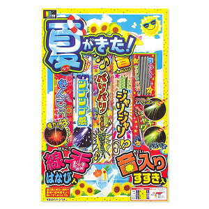 yzBԎwsAszĂINo.6{ ԉ čՂ  }{ qǂ { }[ q ۈ牀 ct ii Cxg Ղ v[g lC ]yFwszysǑΉsz