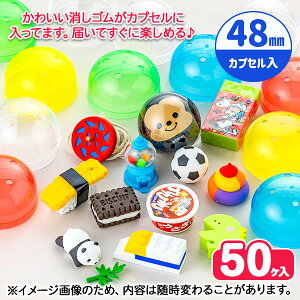 IWiJvZgC S 48mm{ ߋ   lߍ킹 }{ p   zz ≮ Ɩp Mtg a }{ qǂ { }[ q ۈ牀 ct ii Cxg Ղ 