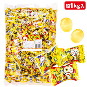 ܂ˋ{ َq  LfB p    zz ≮ Ɩp qǂ { }[ q ۈ牀 ct ii Cxg Ղ v[g lC ]yFwszysǑΉs