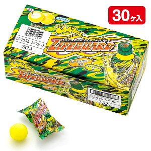 ǂ񂮂K CtK[h{ َq ʉَq }{ p   zz ≮ Ɩp }{ qǂ { }[ q ۈ牀 ct ii Cxg Ղ v[g lC ]yFwszys