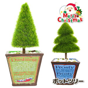 |bgc[{ G Mtg a }{ NX}X NX}X }[ q ۈ牀 ct ii p[eB[ v[g lC ]yFwsz