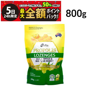 y12/5I50ōőSz|CgobNzy  ŋz z True Blue v|X [J}kJnj[ MGO 600+ ̂ǈ 800g 1 Zbg