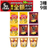 【10/5限定！50％で最大全額ポイントバック】【 送料無料 最強配送 】 ポテトチップス 堅あげポテト じゃ…