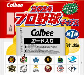 【 送料無料 あす楽 】 カルビー 2024 プロ野球チップス 22g×24個×2箱