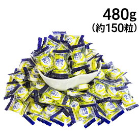 【 送料無料 】 カバヤ 塩分チャージ タブレッツ スポーツドリンク 大容量 480g まとめ買い