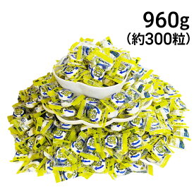 【 送料無料 最強配送 】 カバヤ 塩分チャージ タブレッツ 塩レモン 大容量 960g まとめ買い