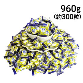 【 送料無料 最強配送 】 カバヤ 塩分チャージ タブレッツ スポーツドリンク 大容量 960g まとめ買い