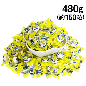 【 送料無料 】 カバヤ 塩分チャージ タブレッツ 塩レモン 大容量 480g まとめ買い