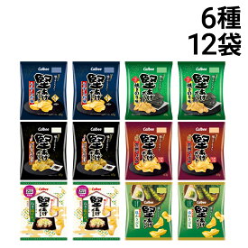 【 送料無料 最強配送 】 カルビー 堅あげポテト 詰め合わせ アソート セット 6種 各2個 計12個 ( うすしお ブラックペッパー 焼きのり 九州しょうゆ ねぎ塩だれ 塩わさび ) まとめ買い