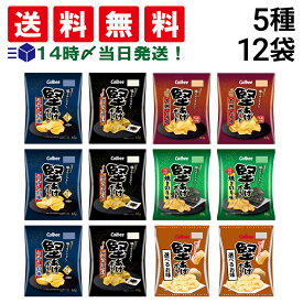 【 送料無料 最強配送 】 カルビー 堅あげポテト 詰め合わせ アソート セット 5種 計12個 ( うすしお ブラックペッパー 焼きのり 九州しょうゆ 選べる味 ) まとめ買い
