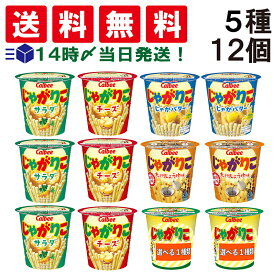 【 送料無料 最強配送 】 カルビー じゃがりこ 5種 食べ比べ 計12個 詰め合わせ アソート セット ( サラダ チーズ じゃがバター 九州しょうゆ ) まとめ買い