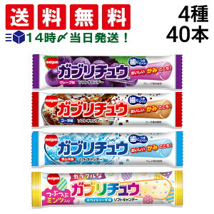 y  z  Ku`E Hה 4×e10{ lߍ킹 A\[g Zbg ( O[v R[ l Jt ) ܂Ƃߔ e